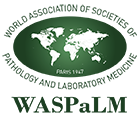 waspalm-association.org